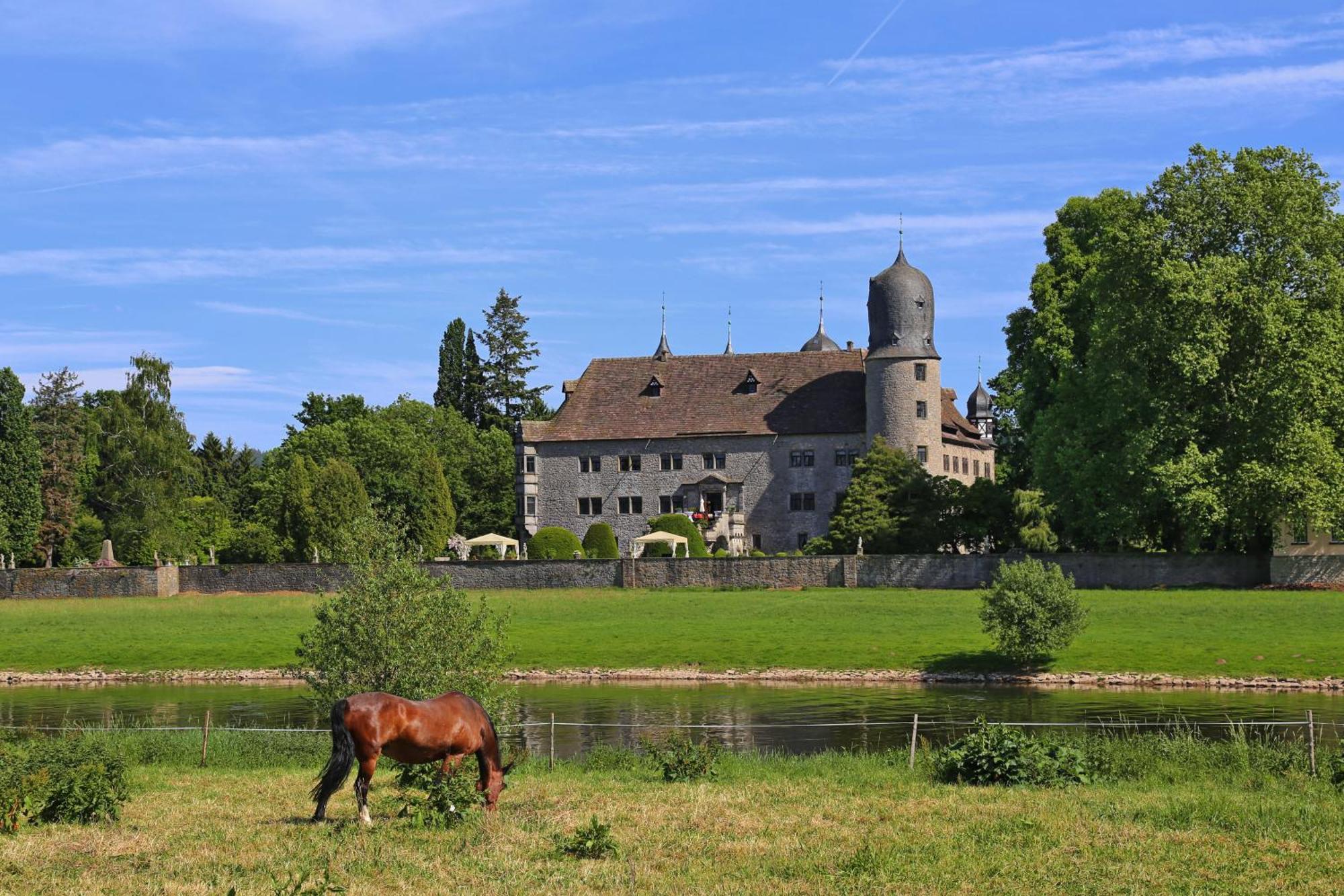 Ferienwohnungen Am Weserstrand Bodenwerder Exterior foto